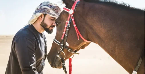 Катание на лошадях – Гармония и покой среди дюн 0