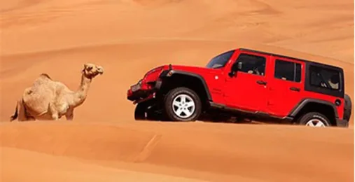 Platinum Safari – Элегантность и приключение в сердце дюн 0