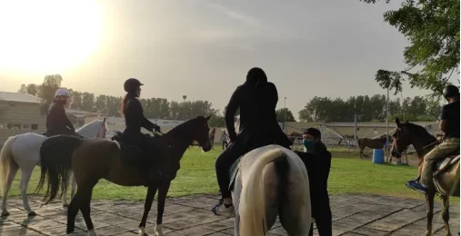 Катание на лошадях – Гармония и покой среди дюн 2