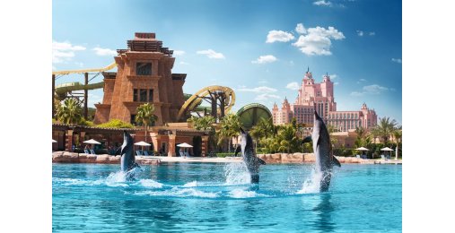 Билеты в Аквапарк Aquaventure 4