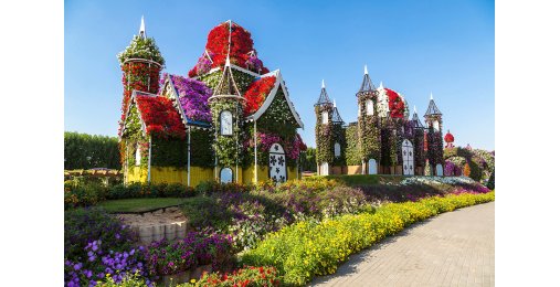 Билеты Dubai Miracle Garden 0