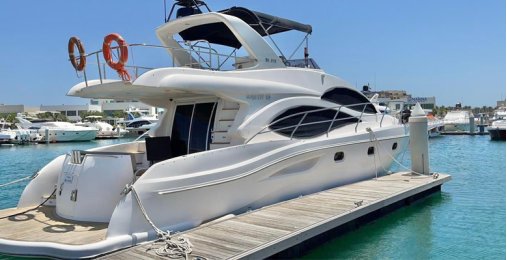 Majesty 50